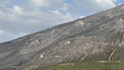 Denizli'nin Pamukkale ilçesindeki orman yangını kontrol altına alındı.
