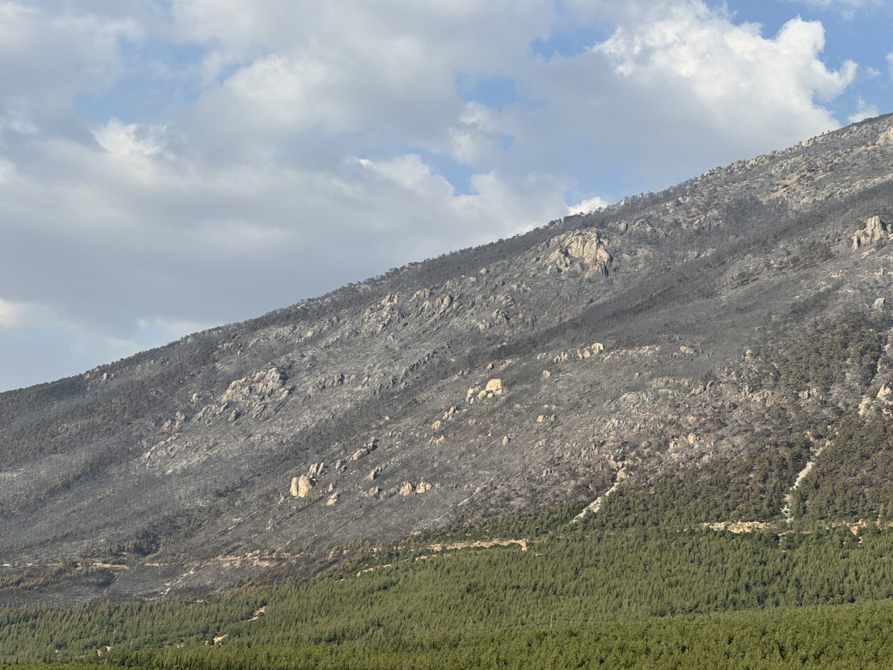 Denizli'nin Pamukkale ilçesindeki orman yangını kontrol altına alındı.