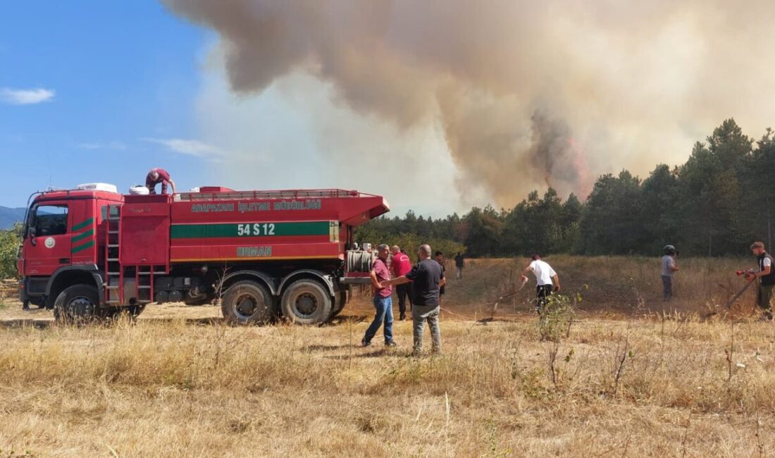  Sakarya'nın Akyazı ilçesinde ormanlık alanda çıkan yangın kontrol altına alındı.