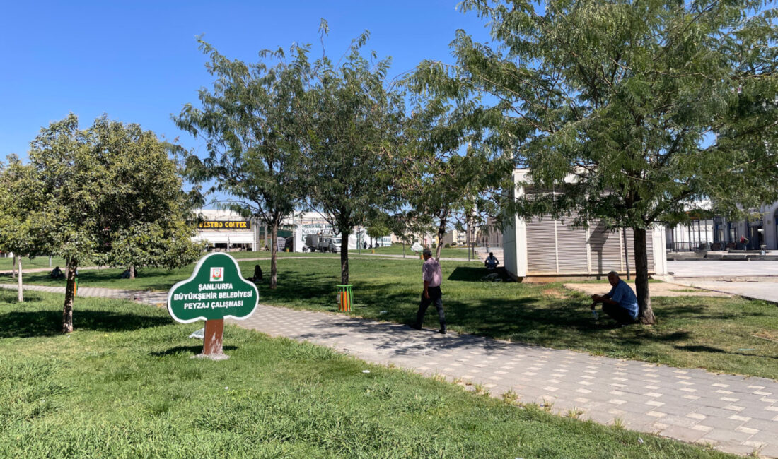 Türkiye'de sıcaklığın en yüksek ölçüldüğü kentlerden biri olan Şanlıurfa'da termometreler