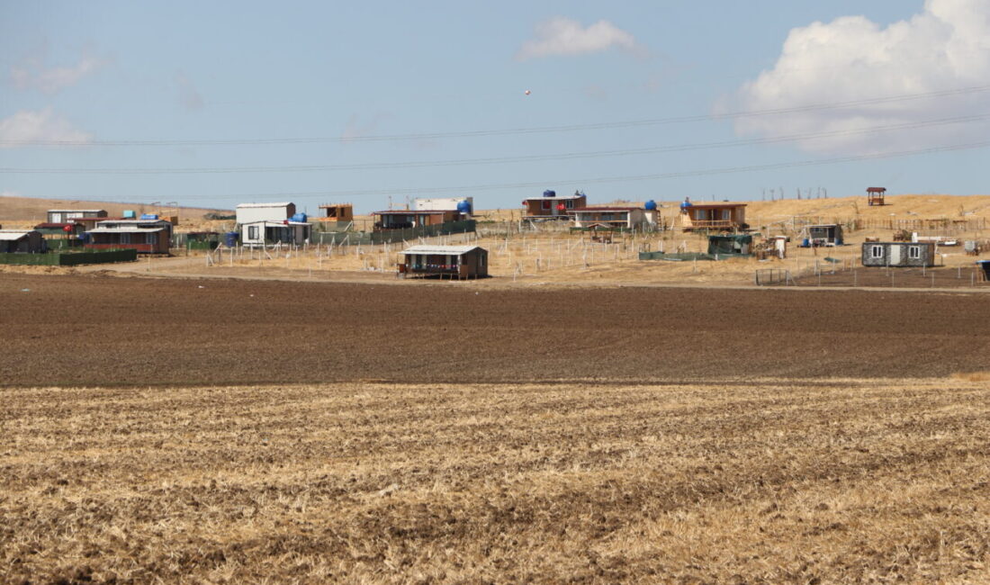  Tekirdağ'ın Marmaraereğlisi ilçesi Yeniçiftlik Mahallesi’nde çiftçiler, tarım arazilerine yerleştirilen konteyner