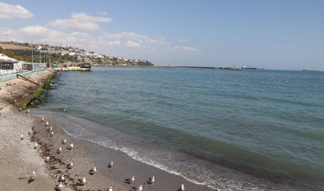  Tekirdağ'da 2 gündür süren poyrazın etkisini yitirmesiyle deniz ulaşımı normale