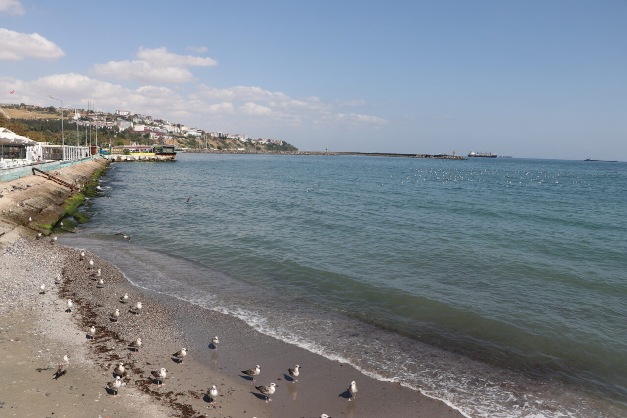  Tekirdağ'da 2 gündür süren poyrazın etkisini yitirmesiyle deniz ulaşımı normale