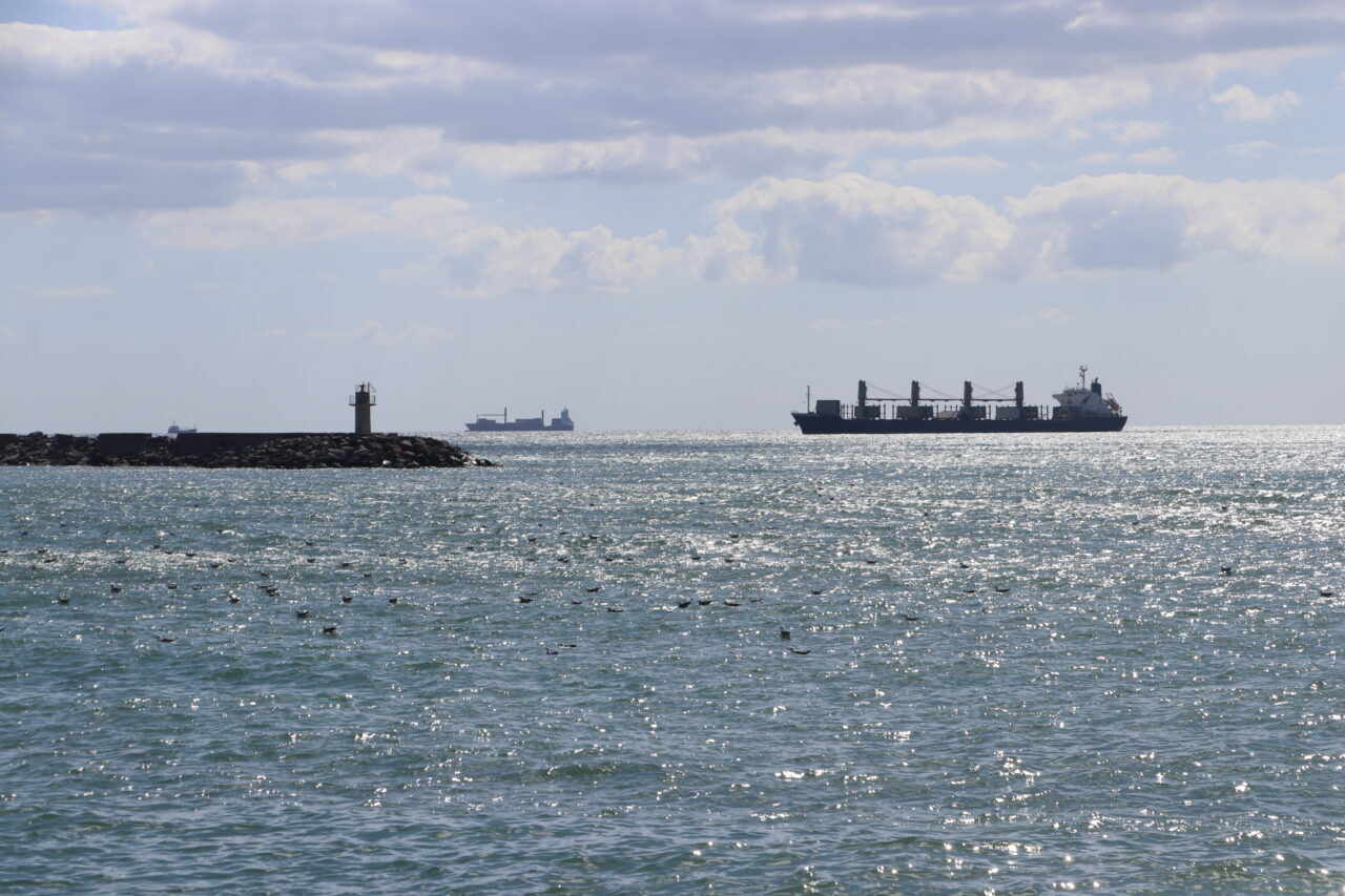  Marmara Denizi'nde 2 gündür etkili olan poyraz, Tekirdağ'da deniz ulaşımında