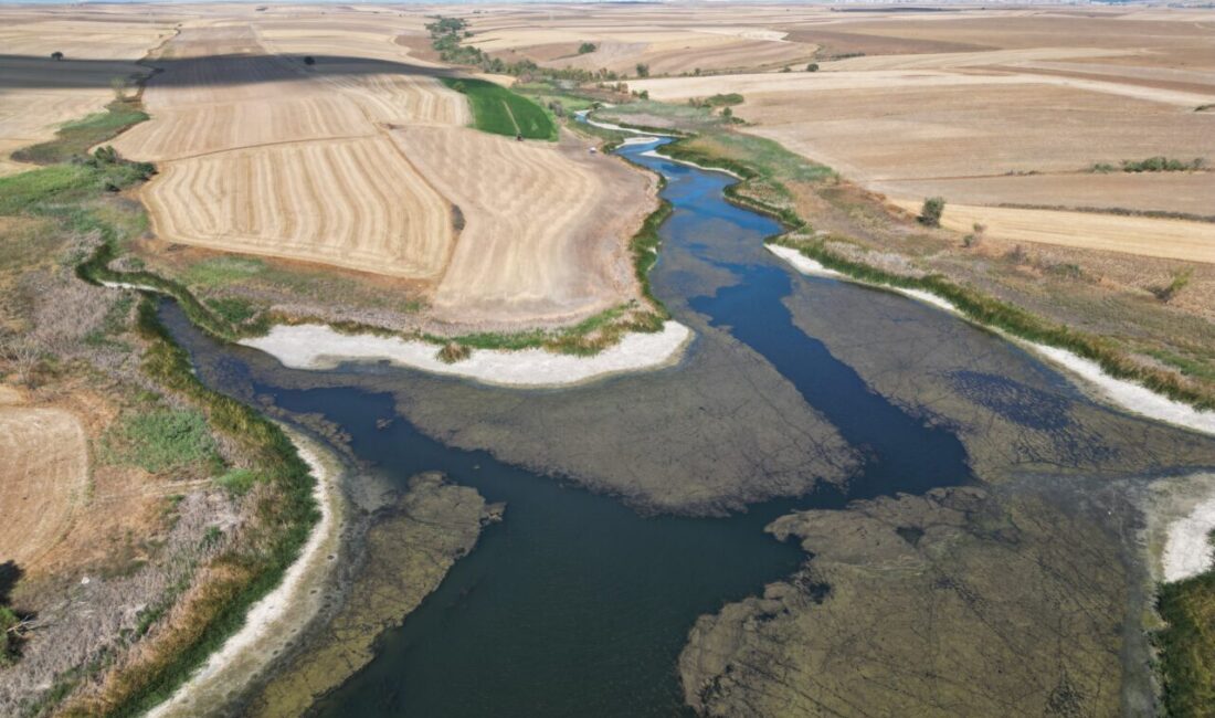 Tekirdağ'da bulunan Sarılar Göleti'nin su seviyesi, kuraklık ve aşırı sıcaklara
