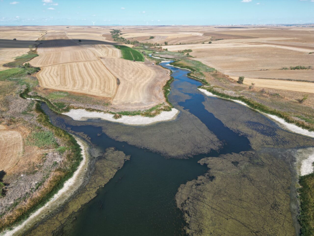 Tekirdağ'da bulunan Sarılar Göleti'nin su seviyesi, kuraklık ve aşırı sıcaklara
