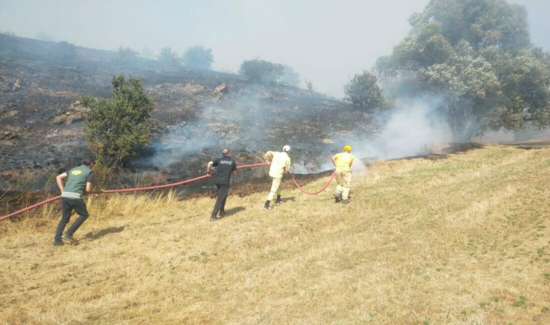  Tokat'ta çıkan yangında yaklaşık 10 dönümlük alan zarar gördü.