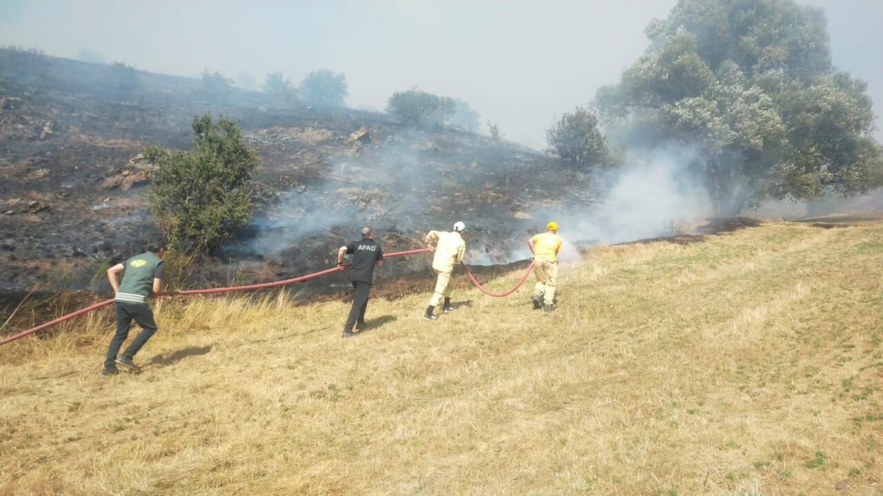  Tokat'ta çıkan yangında yaklaşık 10 dönümlük alan zarar gördü.