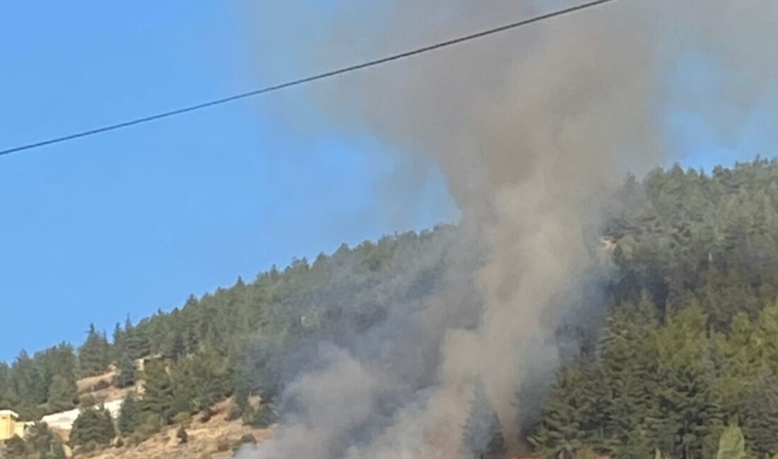 Tokat'ta çıkan orman yangınına ekipler karadan müdahale ediyor.