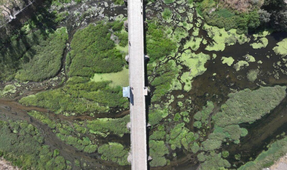 Edirne'nin önemli su kaynaklarından Tunca Nehri'nin bazı bölümlerinde kuraklık nedeniyle