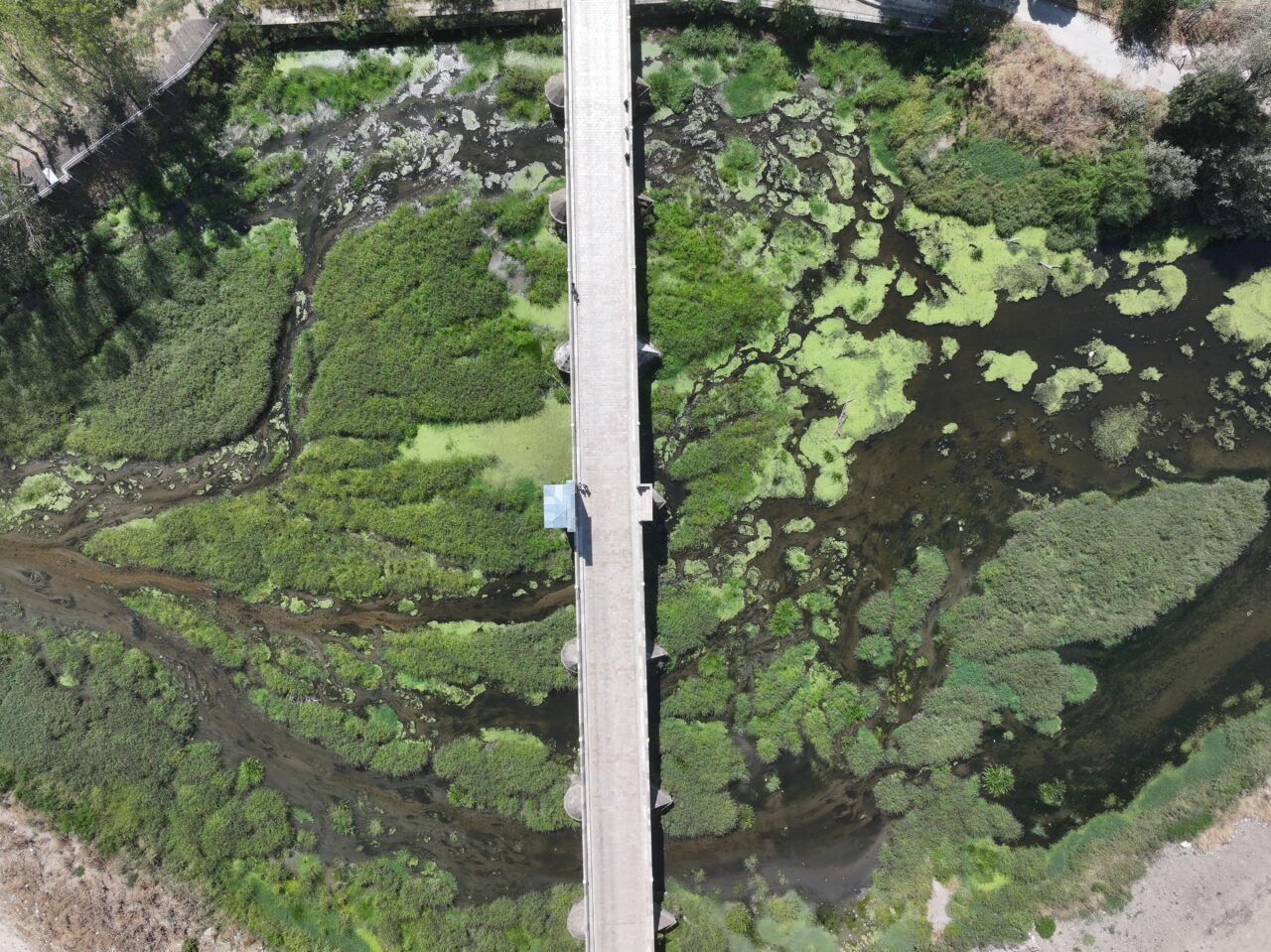Edirne'nin önemli su kaynaklarından Tunca Nehri'nin bazı bölümlerinde kuraklık nedeniyle