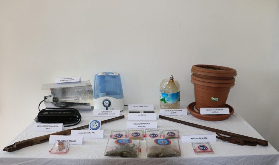 Tunceli'de evinde kenevir bitkisi yetiştirdiği tespit edilen zanlı gözaltına alındı.