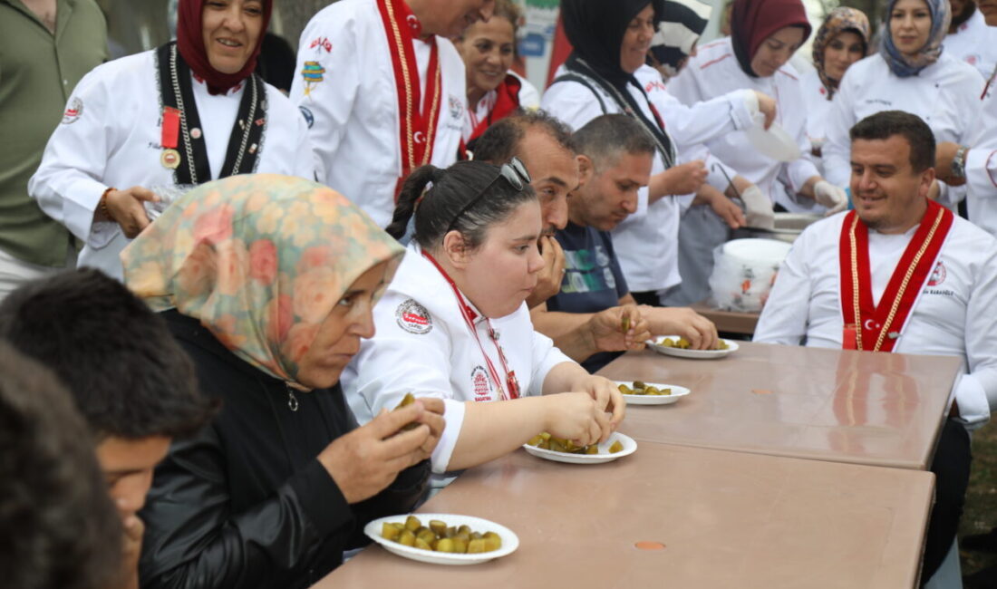 Ankara’nın Çubuk ilçesinde bu yıl 17'ncisi düzenlenen "Uluslararası Çubuk Kültür
