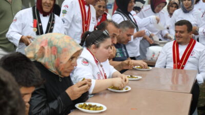 Ankara’nın Çubuk ilçesinde bu yıl 17'ncisi düzenlenen "Uluslararası Çubuk Kültür