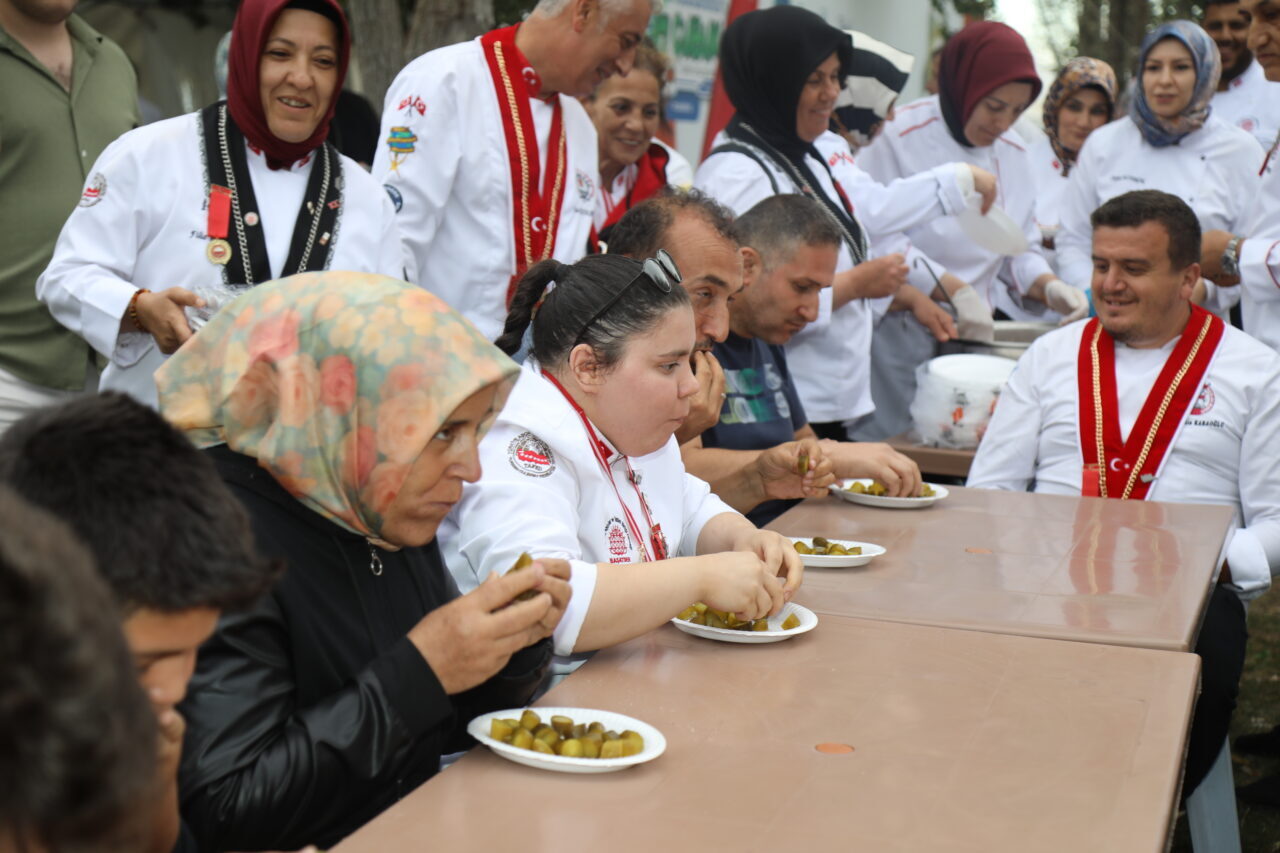 Ankara’nın Çubuk ilçesinde bu yıl 17'ncisi düzenlenen "Uluslararası Çubuk Kültür