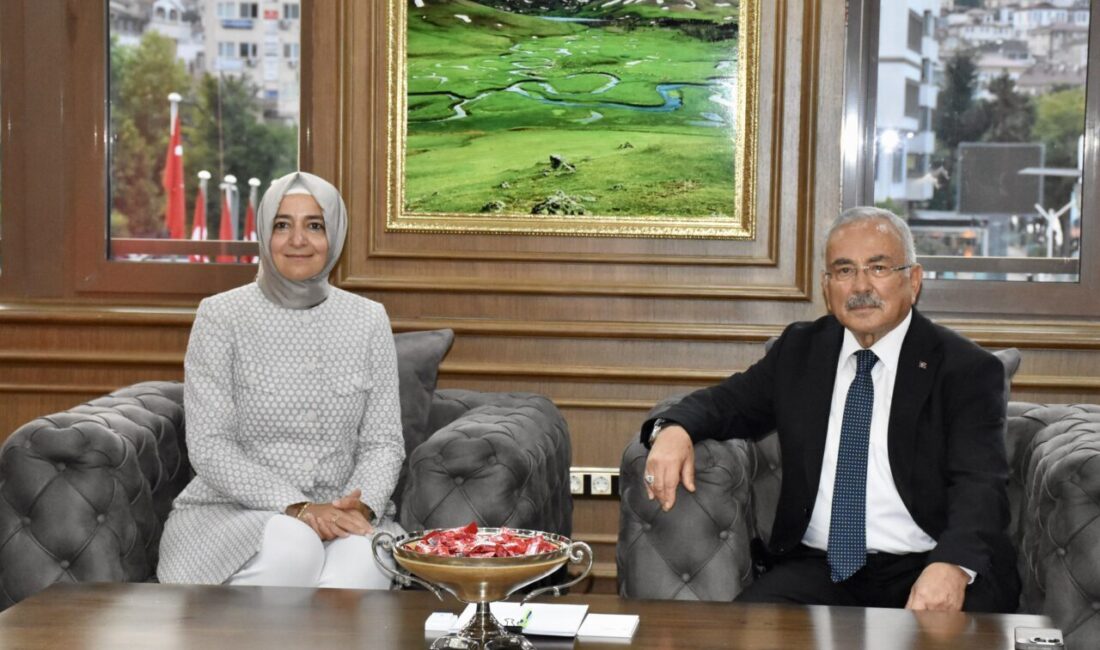 AK Parti Genel Başkan Yardımcısı Fatma Betül Sayan Kaya, her