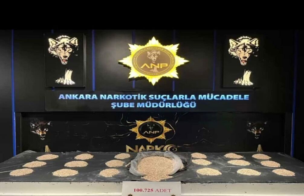 Ankara'nın Kahramankazan ilçesinde 100 bin 725 yasaklı madde ele geçirilen