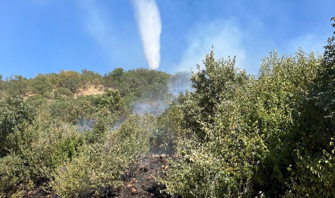 Aydın'ın Kuyucak ilçesinde makilikte çıkan yangın havadan ve karadan müdahaleyle