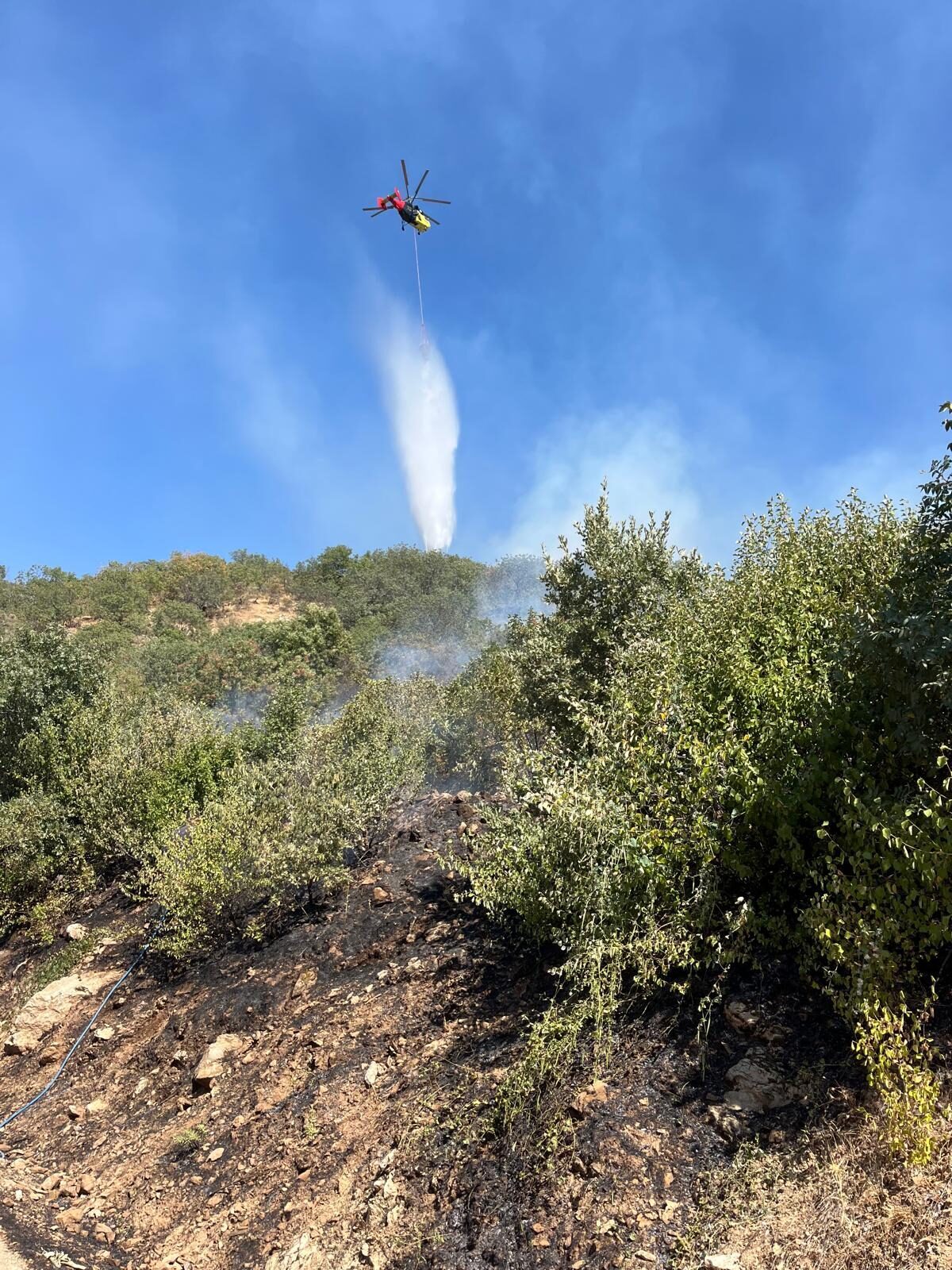 Aydın'ın Kuyucak ilçesinde makilikte çıkan yangın havadan ve karadan müdahaleyle