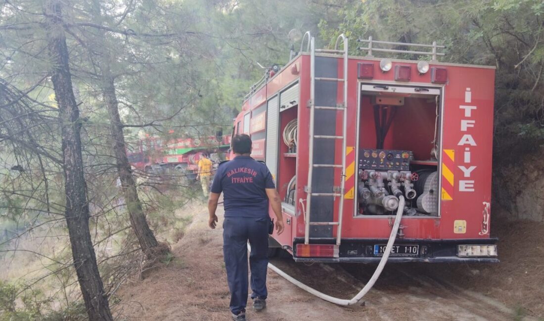 Balıkesir'in İvrindi ilçesinde ormanlık alanda çıkan yangın söndürüldü.