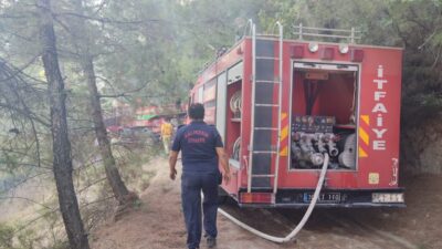 Balıkesir'in İvrindi ilçesinde ormanlık alanda çıkan yangın söndürüldü.