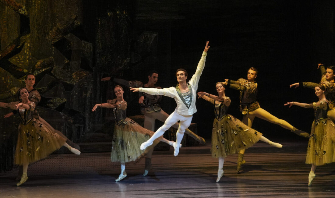 Bolşoy Bale ve Orkestrası, Kültür ve Turizm Bakanlığı koordinasyonunda düzenlenen