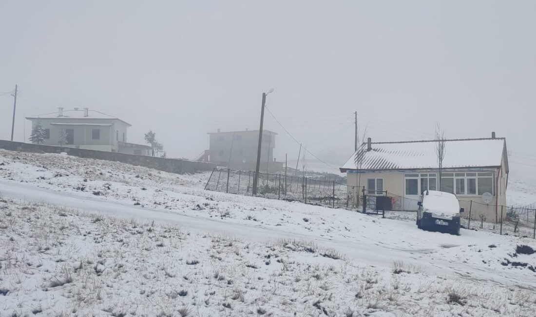 Trabzon, Rize, Gümüşhane ve Bayburt'un yüksek kesimleri ile bazı yaylalarında