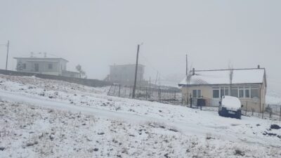 Trabzon, Rize, Gümüşhane ve Bayburt'un yüksek kesimleri ile bazı yaylalarında