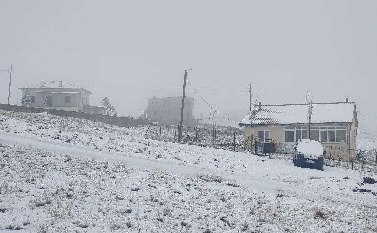 Trabzon, Rize, Gümüşhane ve Bayburt'un yüksek kesimleri ile bazı yaylalarında