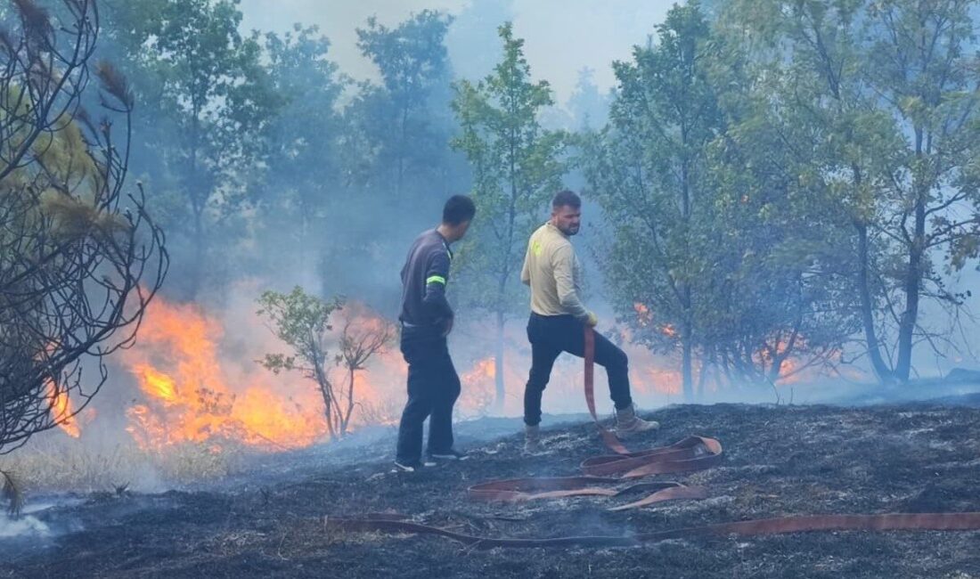 Düzce'nin Yığılca ilçesinde çıkan anız yangını, ormanlık alana sıçramadan söndürüldü.