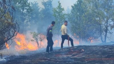 Düzce'nin Yığılca ilçesinde çıkan anız yangını, ormanlık alana sıçramadan söndürüldü.
