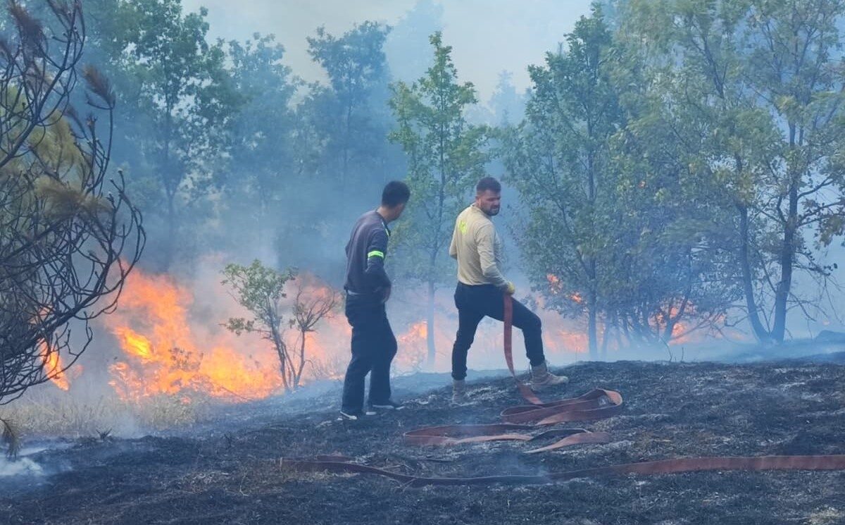 Düzce'nin Yığılca ilçesinde çıkan anız yangını, ormanlık alana sıçramadan söndürüldü.