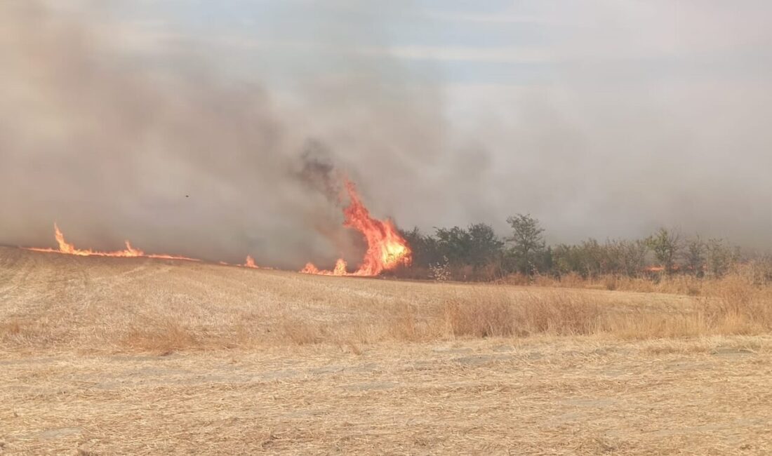 Edirne'nin Keşan ilçesinde anızdan ağaçlık alana sıçrayan yangın söndürüldü.