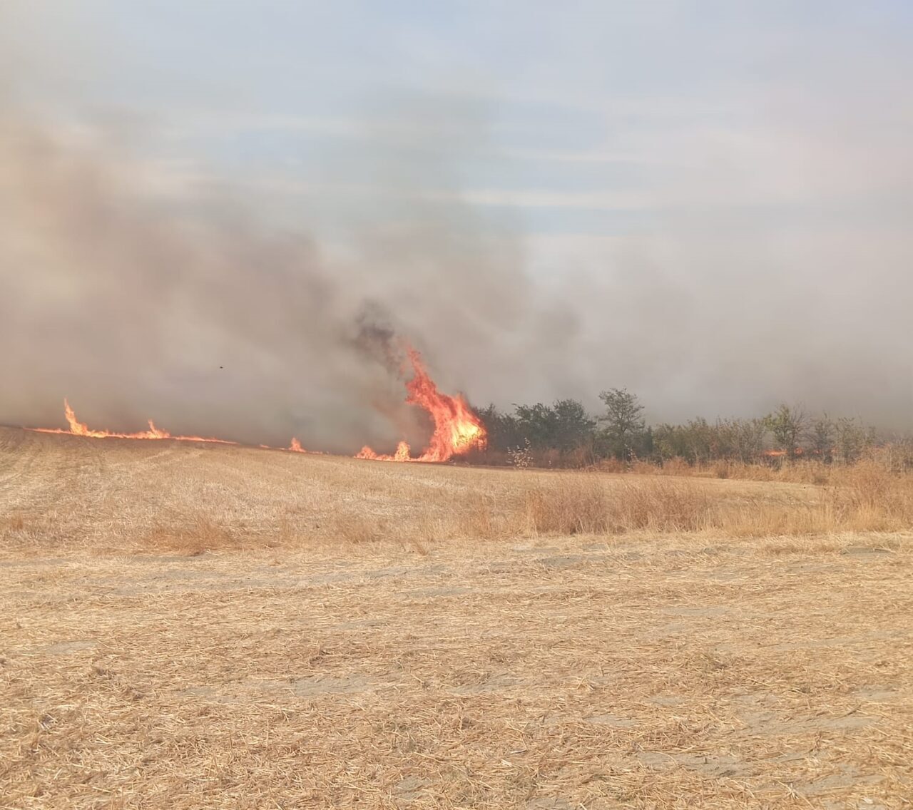 Edirne'nin Keşan ilçesinde anızdan ağaçlık alana sıçrayan yangın söndürüldü.