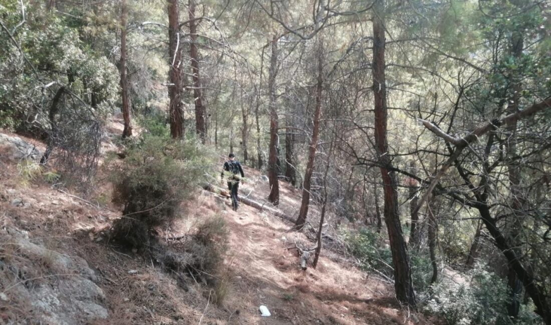 Muğla'nın Fethiye ilçesinde, dağda yürüyüş yaptığı sırada kaybolan Çin uyruklu