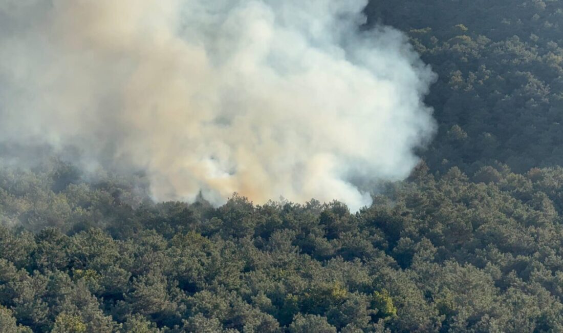 İstanbul'un ilçesi Ataşehir'de ormanlık alanda çıkan yangın itfaiye ekiplerinin müdahalesiyle