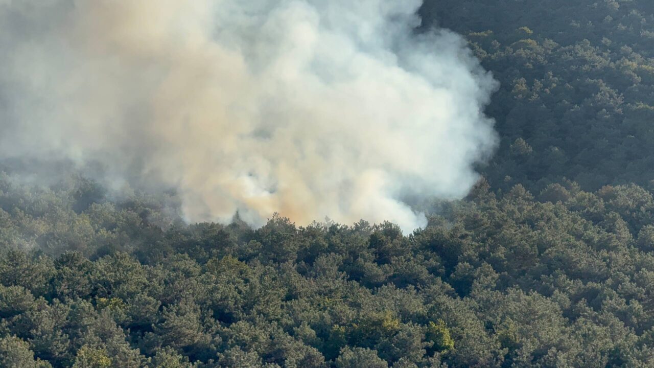 İstanbul'un ilçesi Ataşehir'de ormanlık alanda çıkan yangın itfaiye ekiplerinin müdahalesiyle