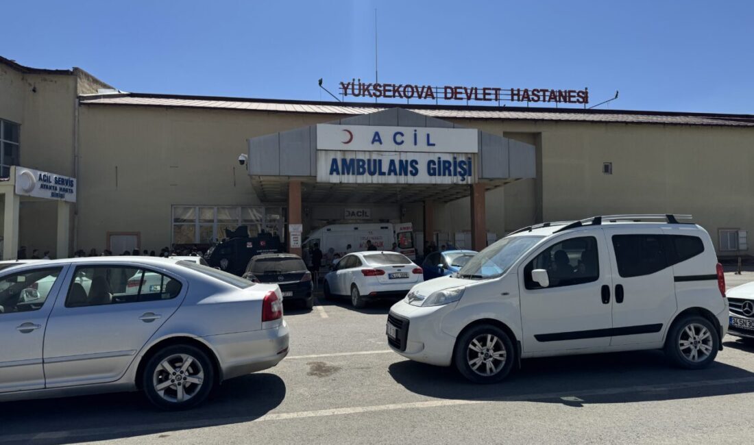  Hakkari'nin Yüksekova ilçesinde iş makinesinin bakımını yaparken kamyonun çarpması sonucu