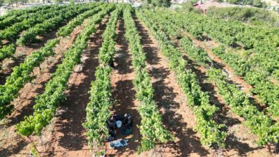 Isparta'nın Yalvaç ilçesinin Kuyucak köyünde, devletin verdiği hibe destekle kurulan