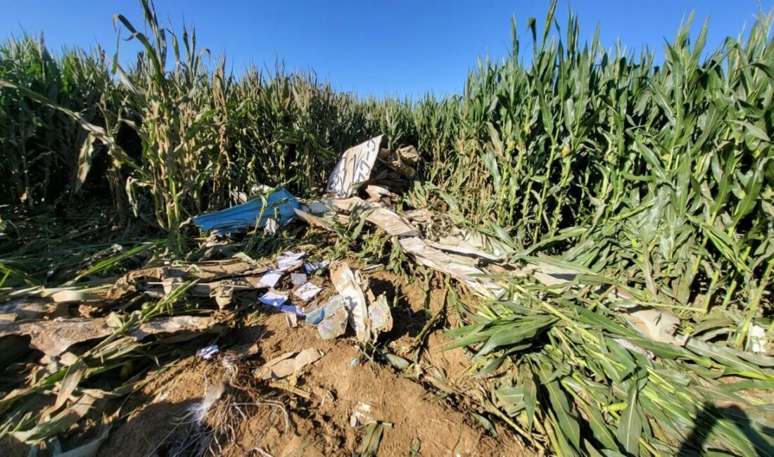  İzmir'in Torbalı ilçesinde düşen eğitim uçağında bulunan pilot yaşamını yitirdi.