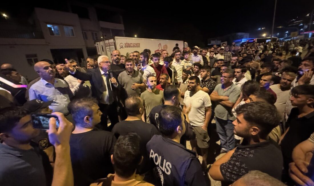 Kahramanmaraş'ın Pazarcık ilçesinde tırın çarptığı genç yaşamını yitirdi.