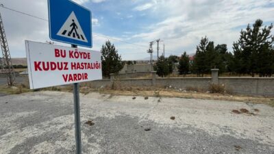 Kars'ın Digor ilçesinde tilkiyle boğuştuktan sonra telef olan köpekte kuduz