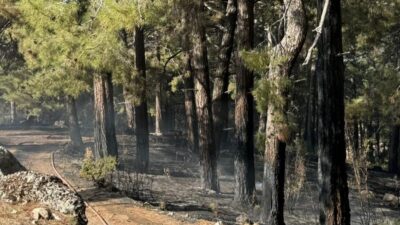 Antalya'nın Kaş ilçesinde ormanlık alanda çıkan yangın ekiplerin müdahalesiyle söndürüldü.