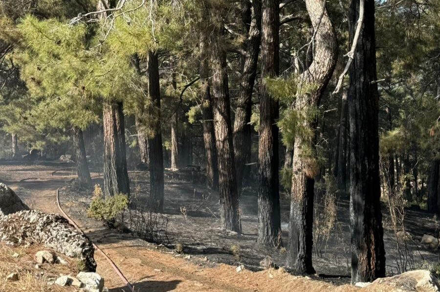 Antalya'nın Kaş ilçesinde ormanlık alanda çıkan yangın ekiplerin müdahalesiyle söndürüldü.
