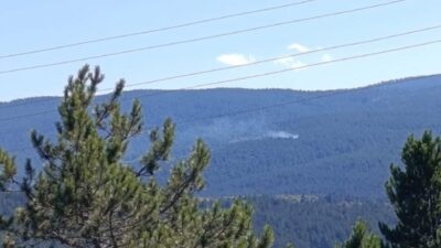 Kastamonu'nun Taşköprü ilçesinde çıkan orman yangını büyümeden söndürüldü.