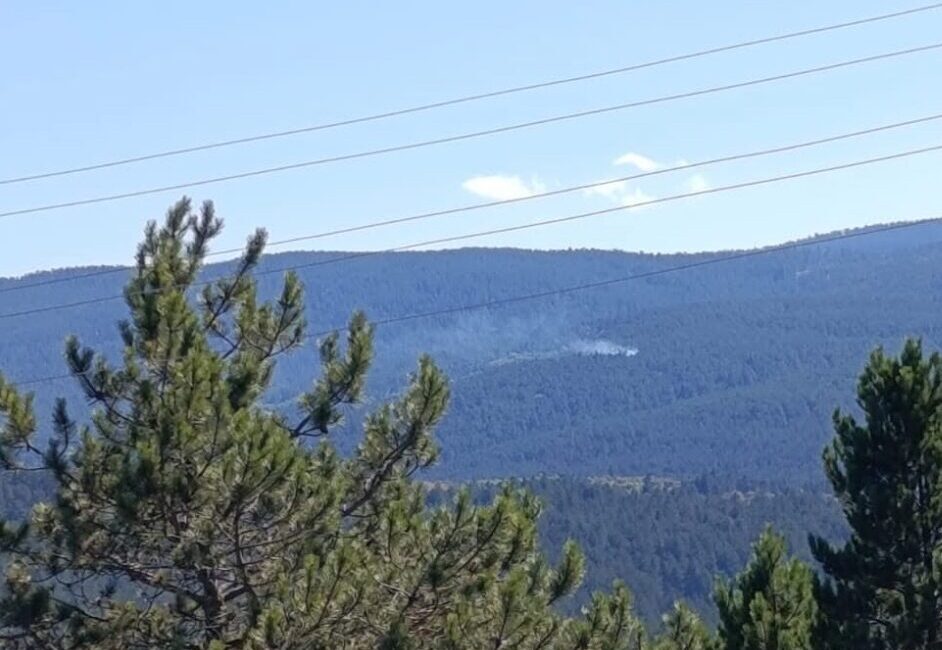 Kastamonu'nun Taşköprü ilçesinde çıkan orman yangını büyümeden söndürüldü.