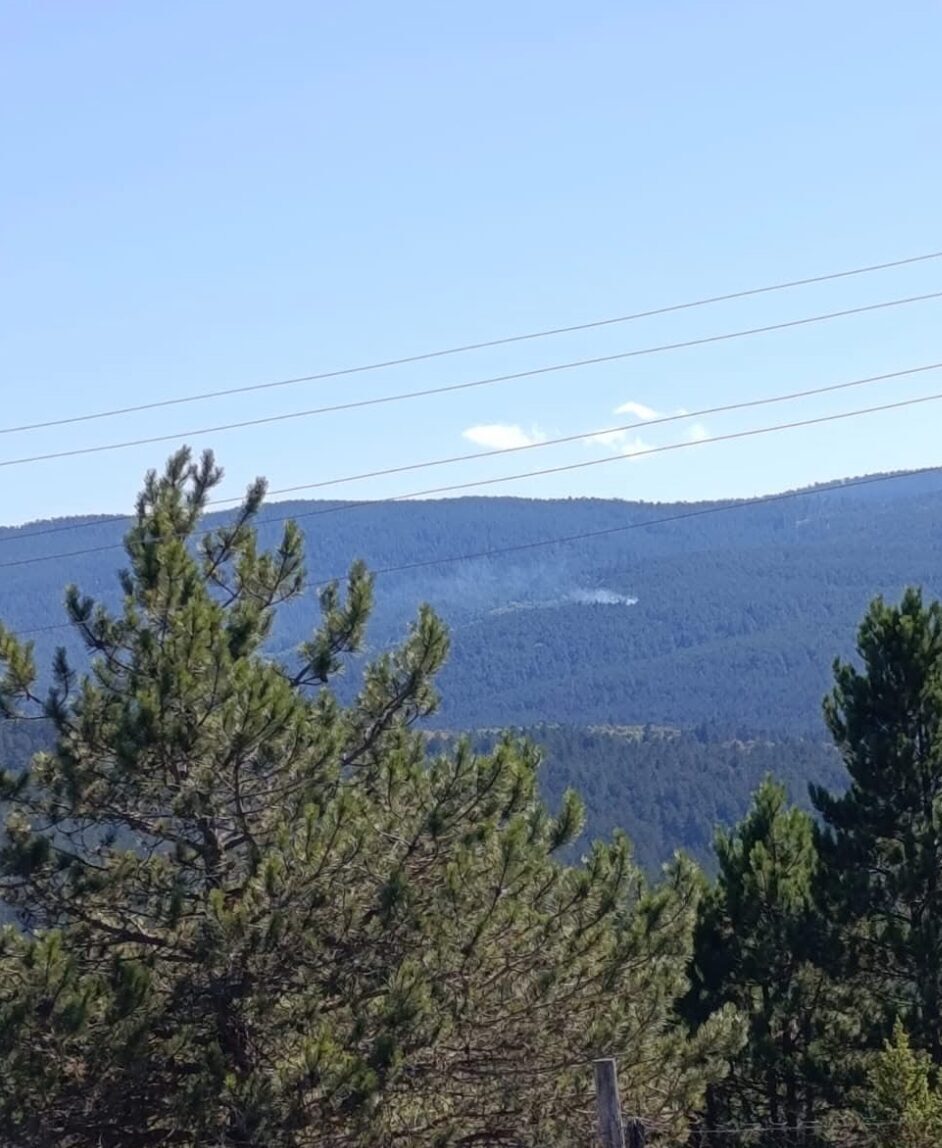 Kastamonu'nun Taşköprü ilçesinde çıkan orman yangını büyümeden söndürüldü.