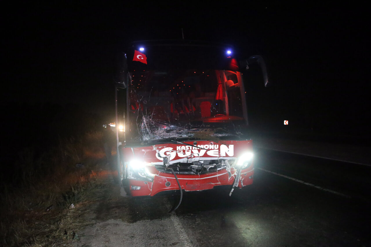 Kastamonu'da cip ve otobüsün kara yolunda çarptığı 3 inek telef