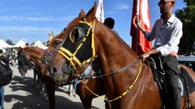  Kayı Boyu'nun tarihi göç yolculuğuna dikkati çekmek için Kütahya'nın Domaniç