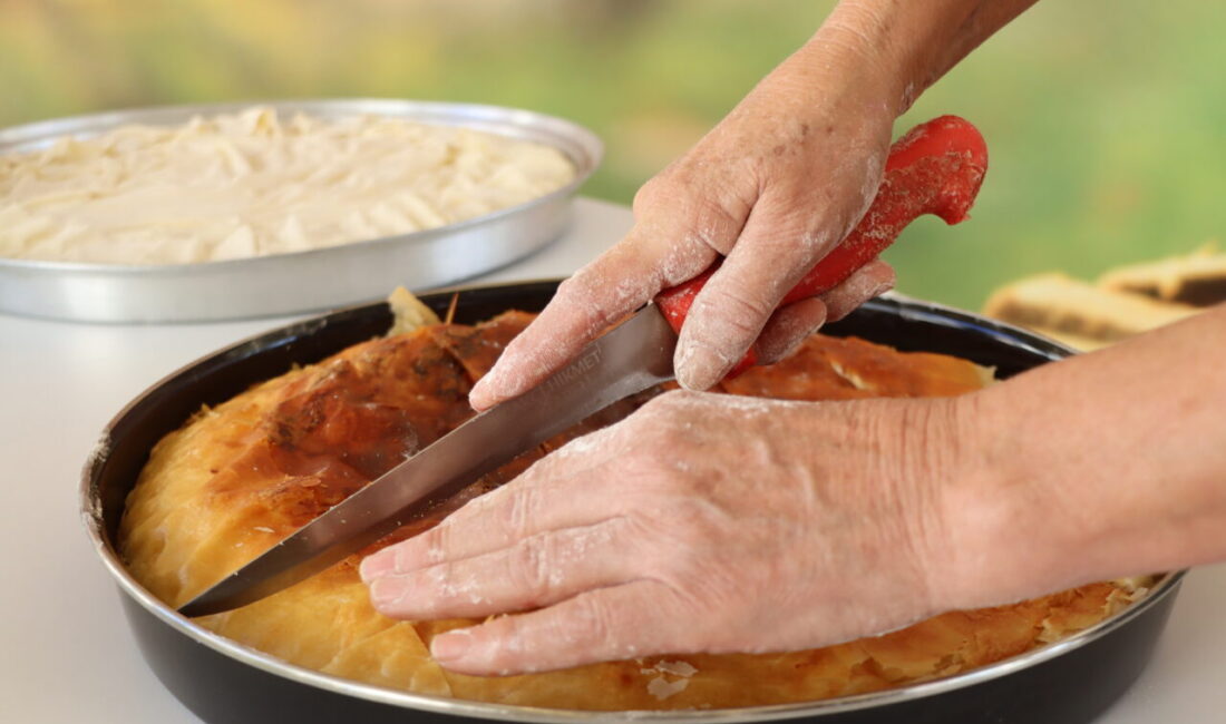 16. Kırklareli Yayla, Bolluk, Bereket, Hasat ve Bağ Bozumu Şenlikleri'nde